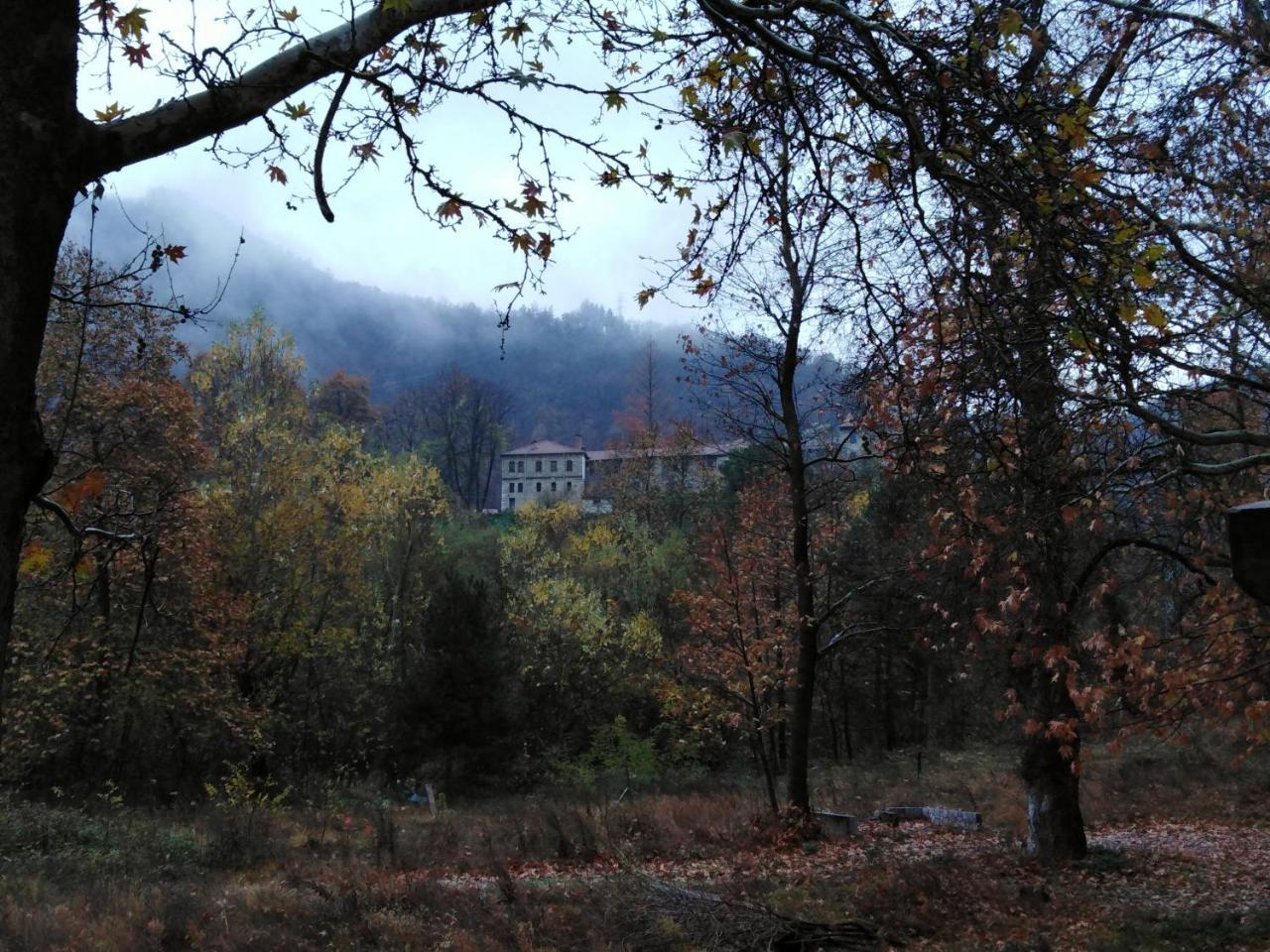 Complex Magic Of The Rhodopes Hotel Bacskovo Kültér fotó
